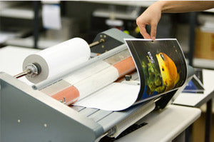 Laminate & Mounting Adhesive